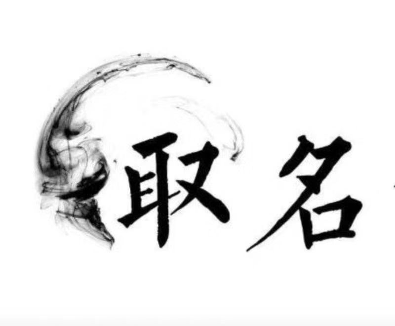  康乐宝宝取名 大师一对一人工起名