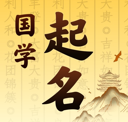 康乐国学起名 人工起名一对一